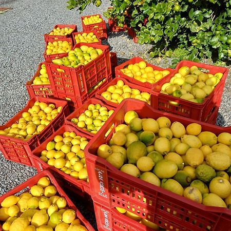 Profumo Di Zagara Acireale Villa Kültér fotó