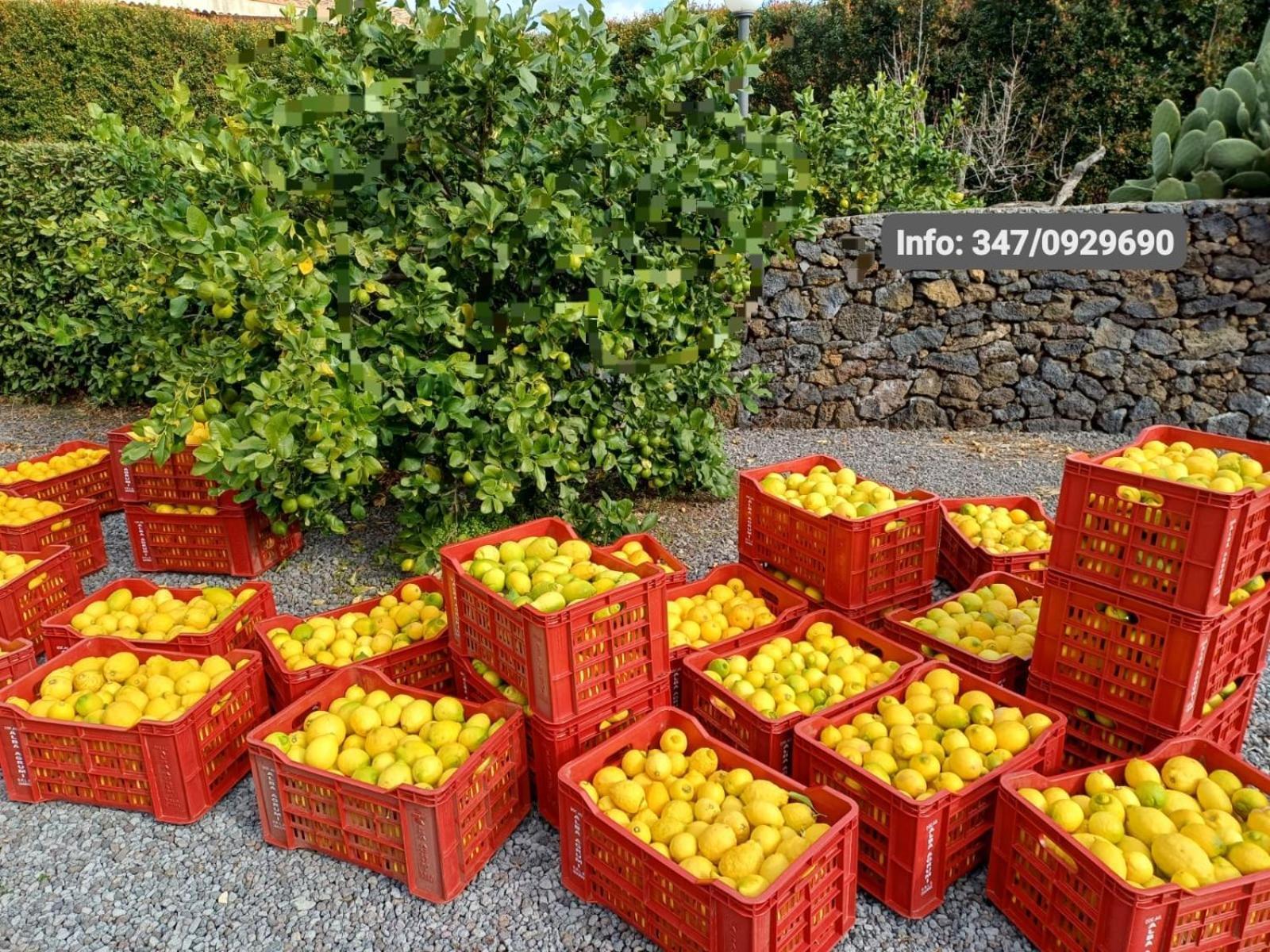Profumo Di Zagara Acireale Villa Kültér fotó