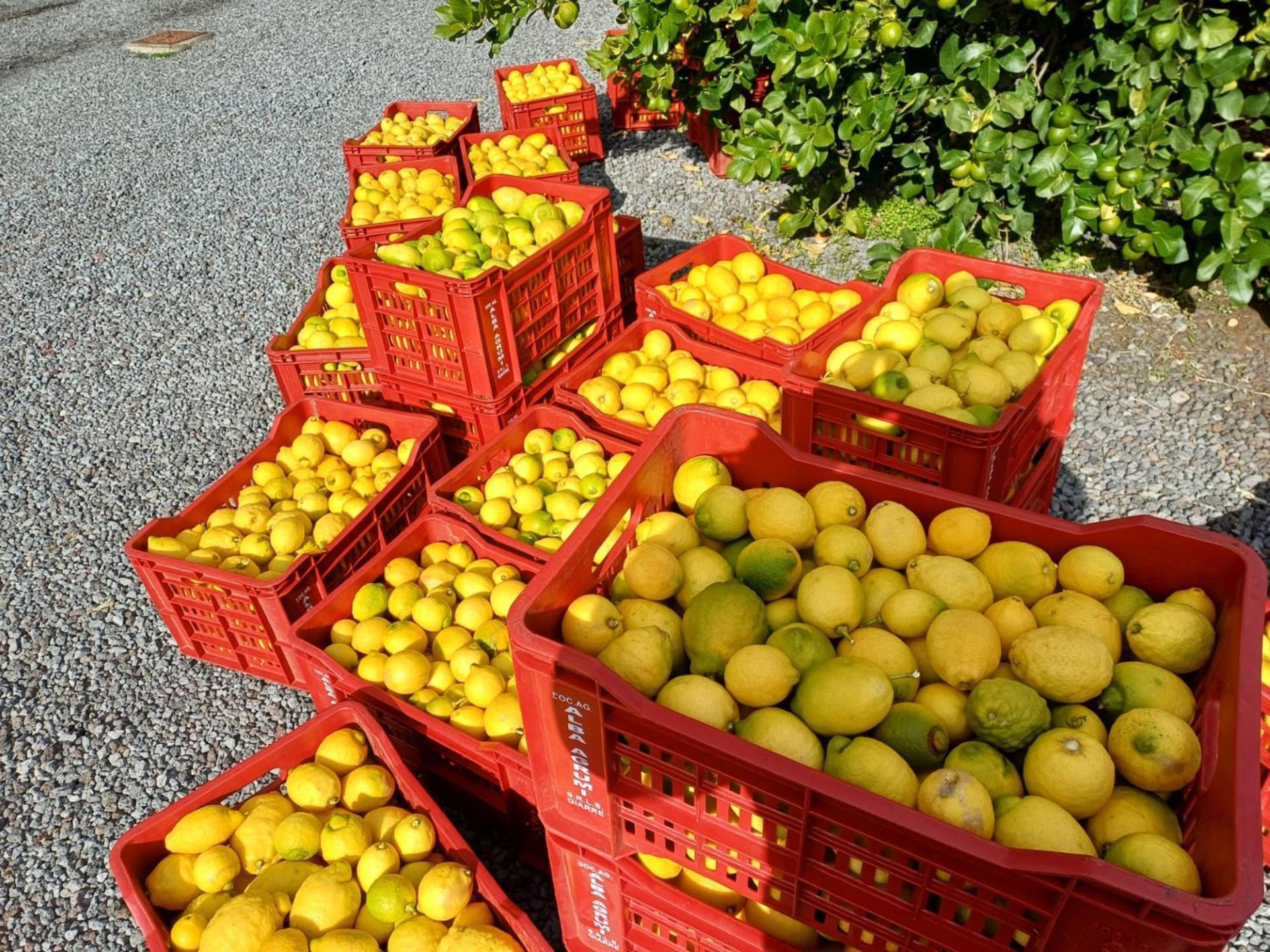 Profumo Di Zagara Acireale Villa Kültér fotó